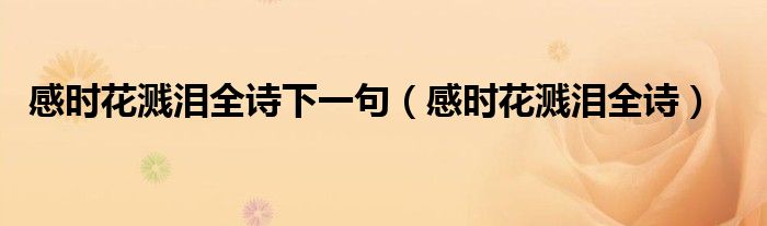 感时花溅泪全诗下一句（感时花溅泪全诗）