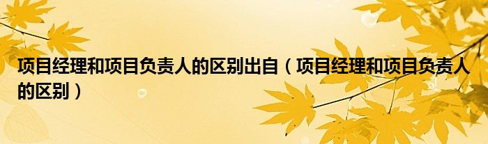 项目经理和项目负责人的区别出自（项目经理和项目负责人的区别）