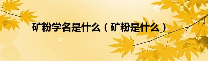 矿粉学名是什么（矿粉是什么）