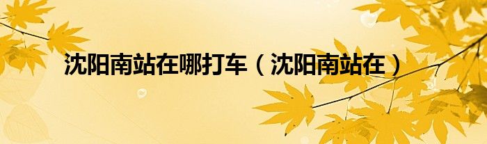 沈阳南站在哪打车（沈阳南站在）