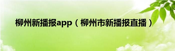 柳州新播报app（柳州市新播报直播）