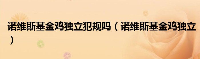 诺维斯基金鸡独立犯规吗（诺维斯基金鸡独立）