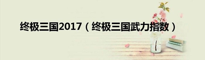 终极三国2017（终极三国武力指数）