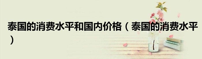 泰国的消费水平和国内价格（泰国的消费水平）