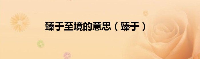 臻于至境的意思（臻于）