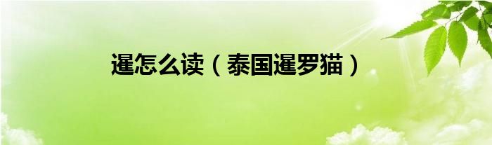 暹怎么读（泰国暹罗猫）