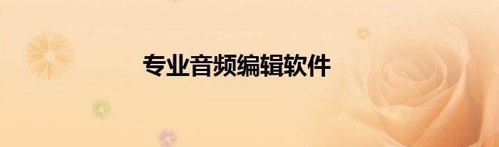 专业音频编辑软件
