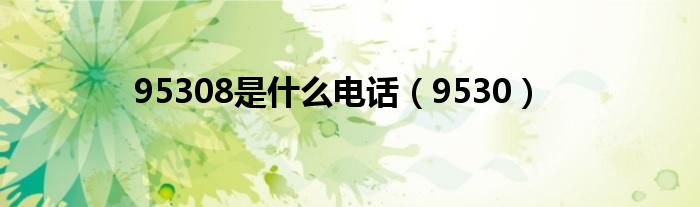 95308是什么电话（9530）
