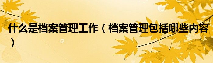 什么是档案管理工作（档案管理包括哪些内容）