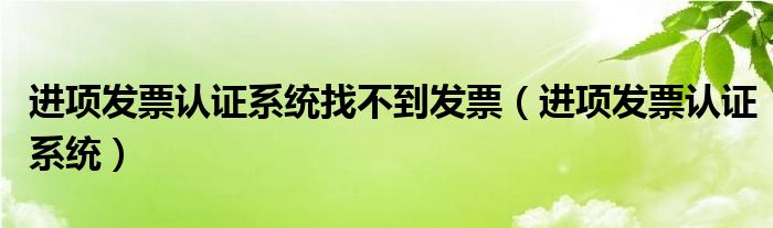 进项发票认证系统找不到发票（进项发票认证系统）