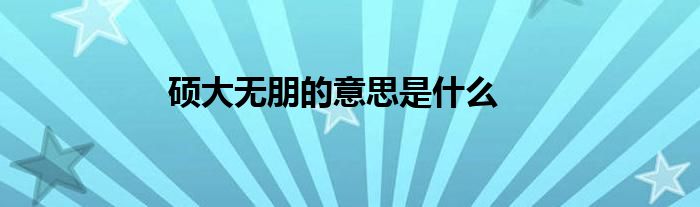硕大无朋的意思是什么