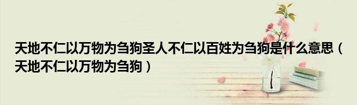 天地不仁以万物为刍狗圣人不仁以百姓为刍狗是什么意思（天地不仁以万物为刍狗）