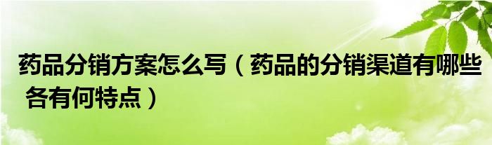 药品分销方案怎么写（药品的分销渠道有哪些 各有何特点）