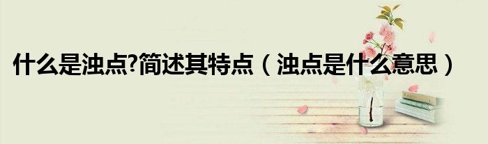 什么是浊点?简述其特点（浊点是什么意思）