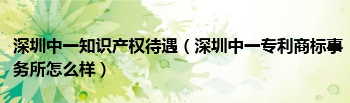 深圳中一知识产权待遇（深圳中一专利商标事务所怎么样）