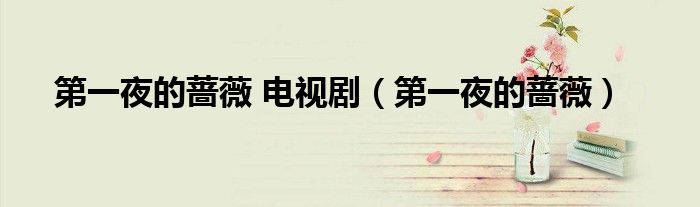 第一夜的蔷薇 电视剧（第一夜的蔷薇）