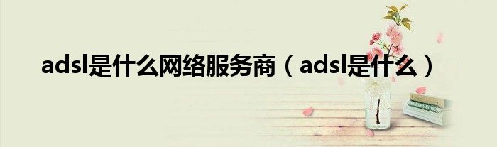 adsl是什么网络服务商（adsl是什么）