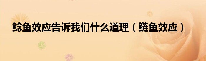 鲶鱼效应告诉我们什么道理（鲢鱼效应）