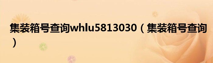 集装箱号查询whlu5813030（集装箱号查询）