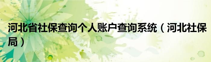 河北省社保查询个人账户查询系统（河北社保局）