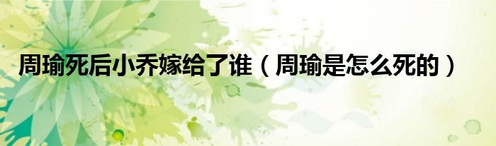 周瑜死后小乔嫁给了谁（周瑜是怎么死的）