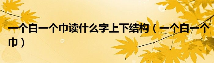 一个白一个巾读什么字上下结构（一个白一个巾）