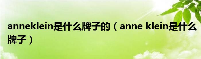 anneklein是什么牌子的（anne klein是什么牌子）