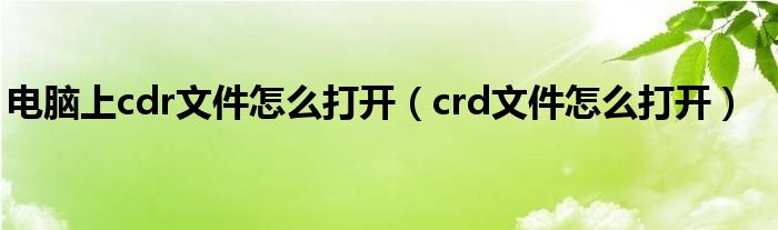 电脑上cdr文件怎么打开（crd文件怎么打开）