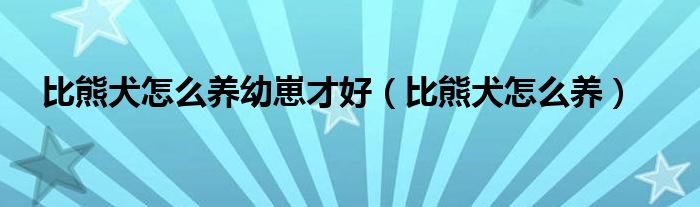 比熊犬怎么养幼崽才好（比熊犬怎么养）