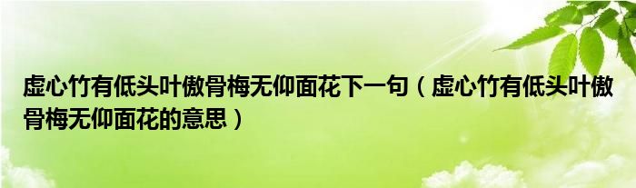 虚心竹有低头叶傲骨梅无仰面花下一句（虚心竹有低头叶傲骨梅无仰面花的意思）