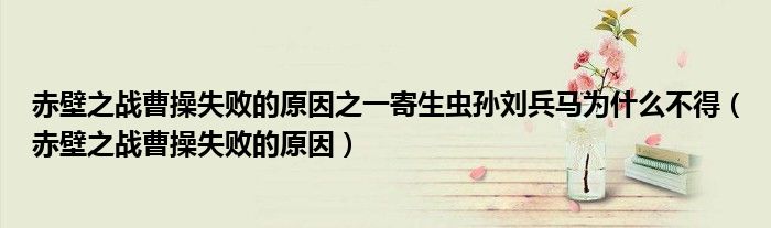赤壁之战曹操失败的原因之一寄生虫孙刘兵马为什么不得（赤壁之战曹操失败的原因）