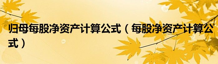 归母每股净资产计算公式（每股净资产计算公式）
