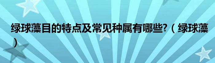绿球藻目的特点及常见种属有哪些?（绿球藻）