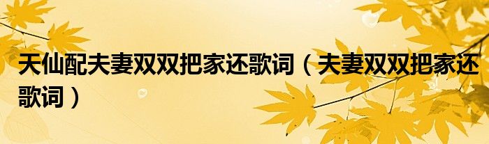 天仙配夫妻双双把家还歌词（夫妻双双把家还歌词）
