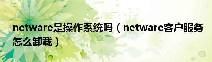 netware是操作系统吗（netware客户服务怎么卸载）
