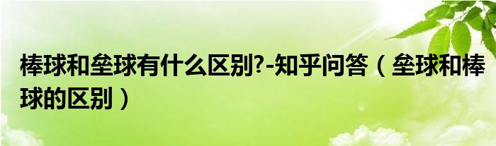 棒球和垒球有什么区别?-知乎问答（垒球和棒球的区别）