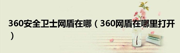 360安全卫士网盾在哪（360网盾在哪里打开）