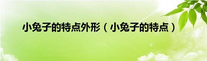 小兔子的特点外形（小兔子的特点）