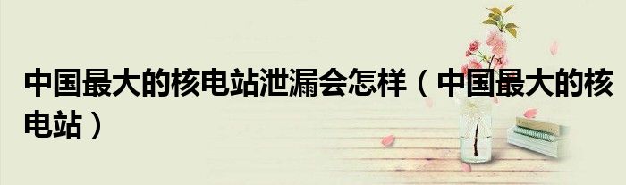 中国最大的核电站泄漏会怎样（中国最大的核电站）