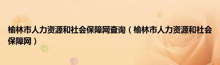 榆林市人力资源和社会保障网查询（榆林市人力资源和社会保障网）