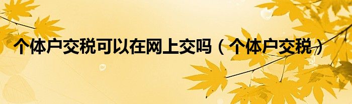 个体户交税可以在网上交吗（个体户交税）