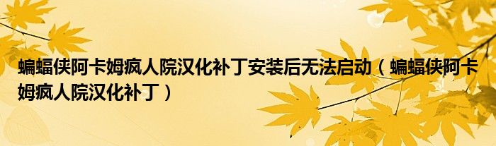 蝙蝠侠阿卡姆疯人院汉化补丁安装后无法启动（蝙蝠侠阿卡姆疯人院汉化补丁）
