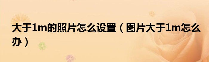 大于1m的照片怎么设置（图片大于1m怎么办）
