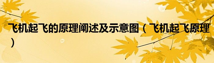 飞机起飞的原理阐述及示意图（飞机起飞原理）