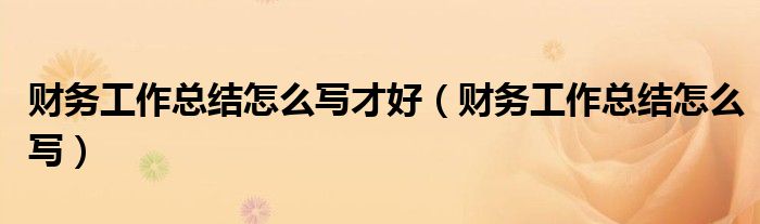 财务工作总结怎么写才好（财务工作总结怎么写）