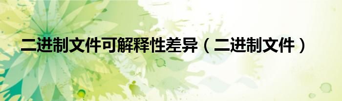 二进制文件可解释性差异（二进制文件）