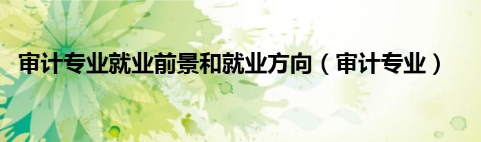 审计专业就业前景和就业方向（审计专业）