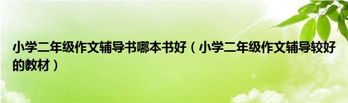 小学二年级作文辅导书哪本书好（小学二年级作文辅导较好的教材）