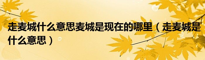 走麦城什么意思麦城是现在的哪里（走麦城是什么意思）