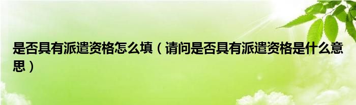 是否具有派遣资格怎么填（请问是否具有派遣资格是什么意思）
